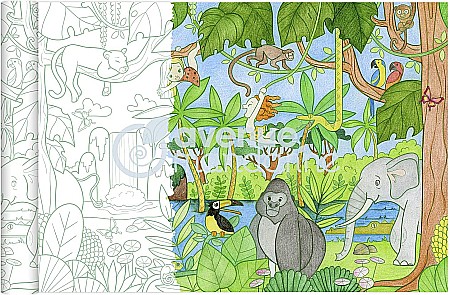 CF ROLA HARTIE DE COLORAT 0.35*5M 90GR JUNGLA AVENUE MANDARINE GY127C [1]