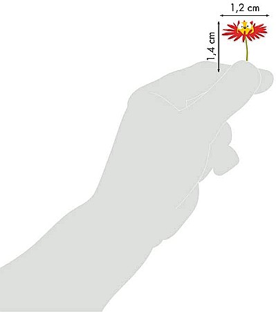 CF STICKER 3D COOKY 7.5*12CM MAILDOR FLORI CY109C [2]