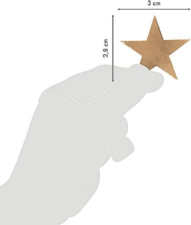 CF STICKER 10.5*16CM MAILDOR STELE AURII AE027C [2]