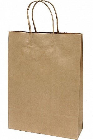 Sacose hartie si textil - EU SACOSA CADOU 26*35 71335 KRAFT