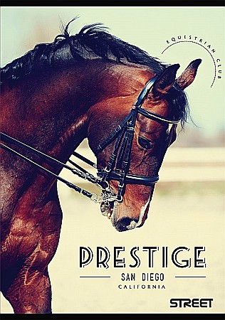 EU REGISTRU STREET A4 96F LINII DRAWINGS 60556 [6]