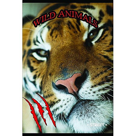 EU REGISTRU STREET A4 96F PATRATELE DRAWINGS 60557 [1]