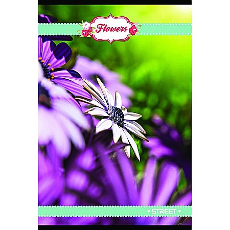 EU REGISTRU STREET A4 96F PATRATELE DRAWINGS 60557 [5]