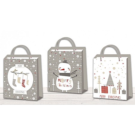 HOBBY - EU SACOSA CADOU CRACIUN 26*32*12CM DIVERSE MODELE L 75125