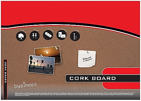 EU PANOU PLUTA 60*90 RAMA LEMN 22369 [1]