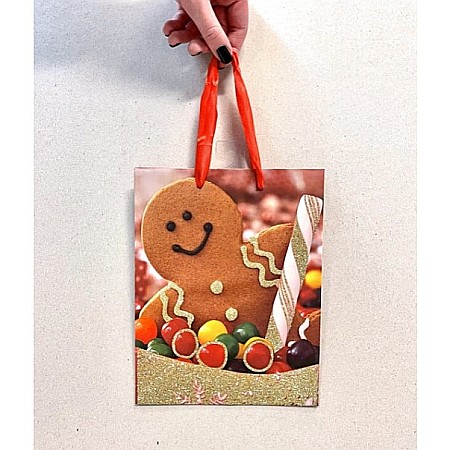 HOBBY - EU SACOSA CADOU CRACIUN 17*22CM M 75293