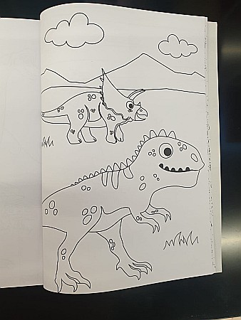 EU CARTE DE COLORAT SI DECUPAT A4 40F ADVENTURE 75296 [1]