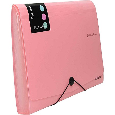 EU MAPA A4 PP 12 COMPARTIMENTE CU ELASTIC, PASTEL 120380 [3]