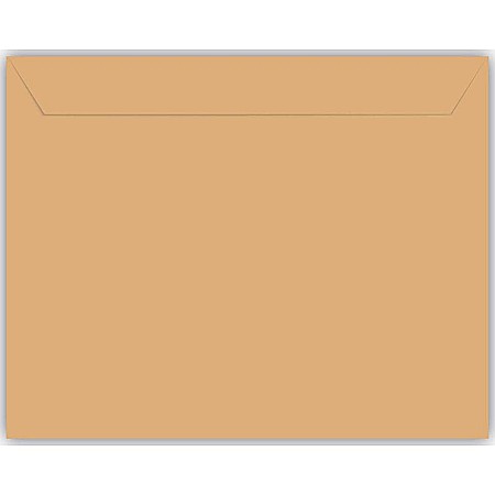 EU PLIC C5 500/SET KRAFT 80G SILICON 230315-promo [1]