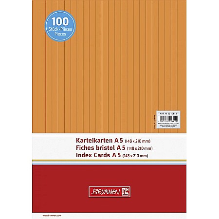 ORGANIZARE SI ARHIVARE - BR INDEX CARD A5 100/SET, DR, PORTOCALIU 2250140