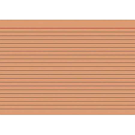 BR INDEX CARD A5 100/SET, DR, PORTOCALIU 2250140 [1]