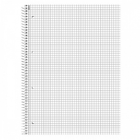 BR CAIET A4 80F SPIRA SI  PERFORATII ROSU PATRATELE 67942 [1]