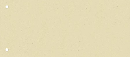 ORGANIZARE SI ARHIVARE - BR SEPARATOR CARTON BRUNNEN 180G 100/SET BEJ 6604011