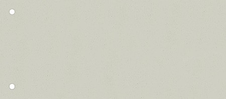 ORGANIZARE SI ARHIVARE - BR SEPARATOR CARTON BRUNNEN 180G 100/SET GRI 6604080