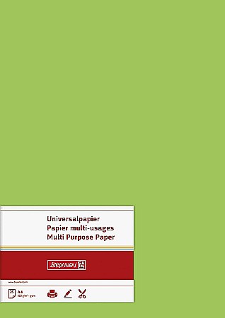 BR CARTON COLOR A4 160GR 25/SET VERDE DESCHIS 5122550 [1]