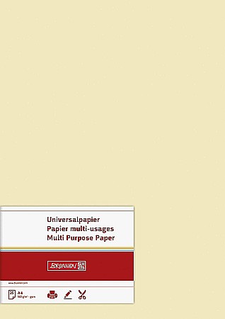 BR CARTON COLOR A4 160GR 25/SET CHAMOIS 5122511 [1]