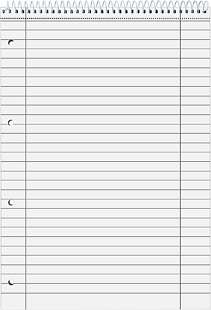 BR BLOC NOTES A4 80F SPIRA SI PERFORATII LINII 6791101 [1]