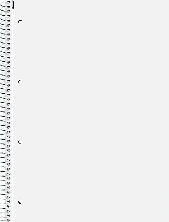 BR CAIET A4 80F SPIRA SI PERFORATII PREMIUM VELIN 67140 [4]