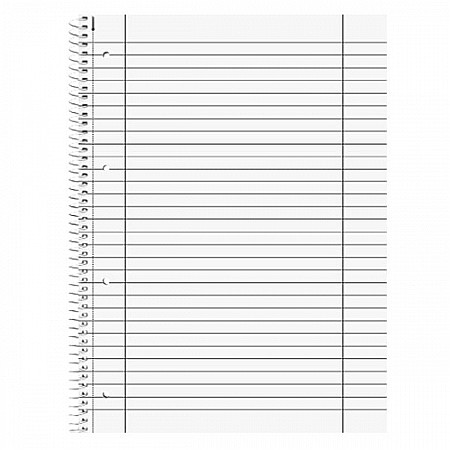 BR CAIET A4 80F SPIRA SI PERFORATII DUO LINII+PATRATELE 67974 [1]