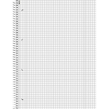 BR CAIET A4 80F SPIRA SI PERFORATII DUO LINII+PATRATELE 67974 [2]