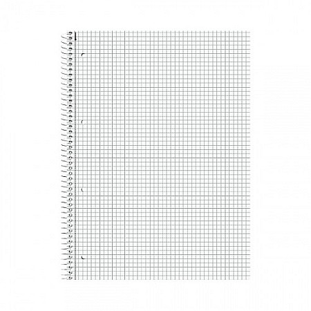 BR CAIET A4 80F SPIRA SI PERFORATII ARGINTIU PATRATELE 67928192 [1]