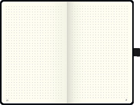 BR NOTES A5 192F KOMPAGNON AURIU METALIC CU ELASTIC DOTS 5554891 [6]