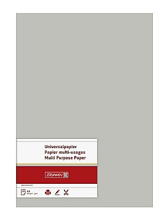 BR CARTON COLOR A4 160GR 25/SET GRI 5122580 [1]