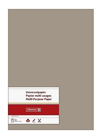 BR CARTON COLOR A4 160GR 25/SET TAUPE 5122585 [1]