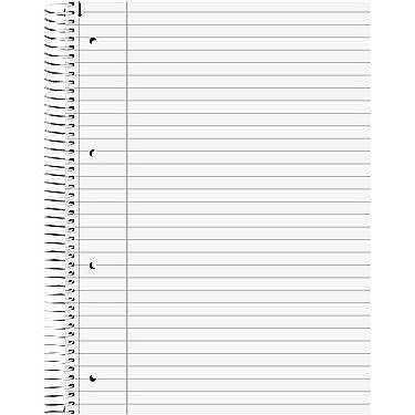 BR CAIET A4 160F SPIRA SI PERFORATII ALBASTRU LINII 67727 [1]