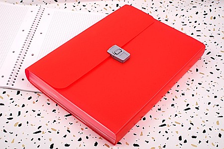 BR MAPA A4 PP 10 COMPARTIMENTE ROSU 2024023 [1]