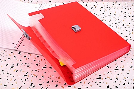 BR MAPA A4 PP 10 COMPARTIMENTE ROSU 2024023 [2]