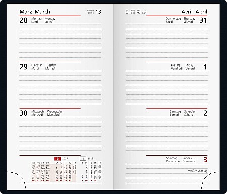 BR AGENDA DATATA SAPTAMANAL RIDOIDE 9*15CM 2025 FLOW GRI 16915015 [1]