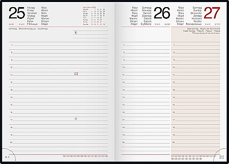 BR AGENDA DATATA ZILNIC MENTOR A5 2025 ARGINTIU 26033015 [1]