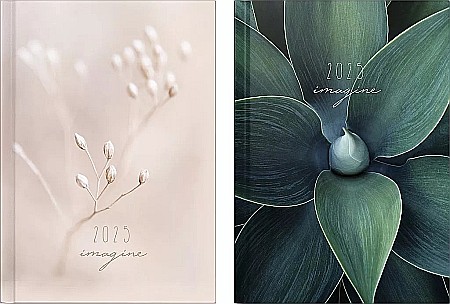 BR AGENDA DATATA ZILNIC MENTOR A5 2025 IMAGINE 26037955 [0]