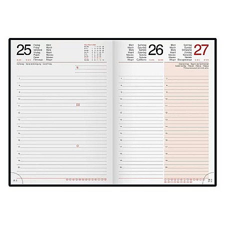 BR AGENDA DATATA ZILNIC MENTOR A5 2025 IMAGINE 26037955 [1]