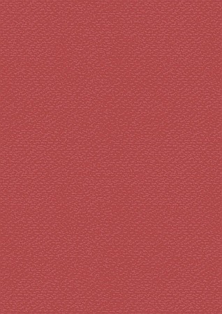 Cartoane/ Hartii Decor 50x70, 70x100, A4 - KP CARTON TEXTURAT 50*70 220GR ROSU LALEA 4720025