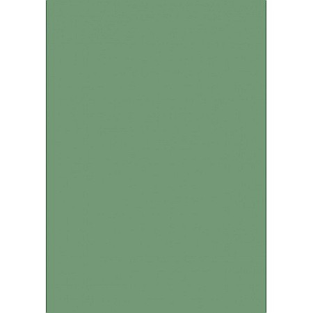 Cartoane/ Hartii Decor 50x70, 70x100, A4 - KP CARTON 50*70 300GR VERDE IARBA 4726257