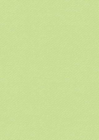 FINE ARTS&GRAPHICS - KP CARTON TEXTURAT 50*70 220GR VERDE DESCHIS 4720050