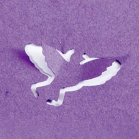 KP PERFORATOR DECORATIV HEYDA 2.5CM POP-UP PORUMBEL 3687525 [2]