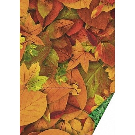 Cartoane/ Hartii Decor 50x70, 70x100, A4 - KP CARTON DECOR 50*70 300GR MOTIV IARBA/FRUNZE 4772288