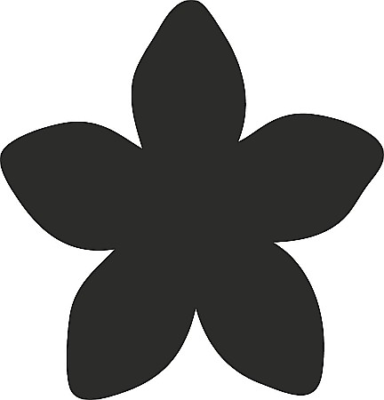 KP PERFORATOR DECORATIV HEYDA 2.5CM FLOARE 3687542 [1]