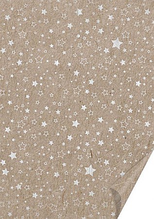 HOBBY - KP CARTON DECOR 50*70 220GR MOTIV STELE ARGINTIU LUCIOS 4771852