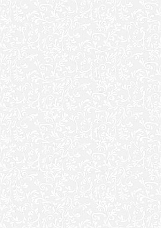 Cartoane/ Hartii Decor 50x70, 70x100, A4 - KP HARTIE CALC A4 115GR MODEL ROMA ALB 4879550