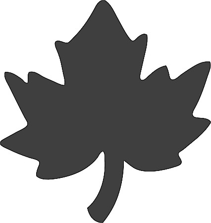 KP PERFORATOR DECORATIV HEYDA 1.7CM FRUNZA DE ARTAR 3687426 [2]