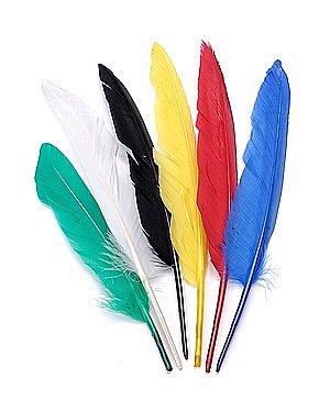 Pene - KP PENE DECOR GASCA 15-22CM 12/SET CULORI ASORTATE 2543806