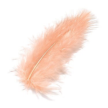 Pene - KP PENE DECOR MARABOU 10CM 15/SET ROZ 6619207