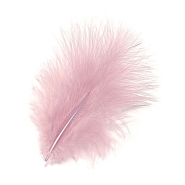 HOBBY - KP PENE DECOR MARABOU 10CM 15/SET ROZ DESCHIS 6619215