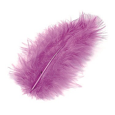 Pene - KP PENE DECOR MARABOU 10CM 15/SET VIOLET 6619282
