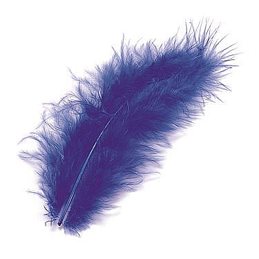 Pene - KP PENE DECOR MARABOU 10CM 15/SET ALBASTRU INCHIS 6619355