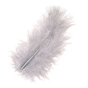 HOBBY - KP PENE DECOR MARABOU 10CM 15/SET GRI DESCHIS 6619622